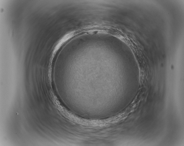 X0000086760006200704131128