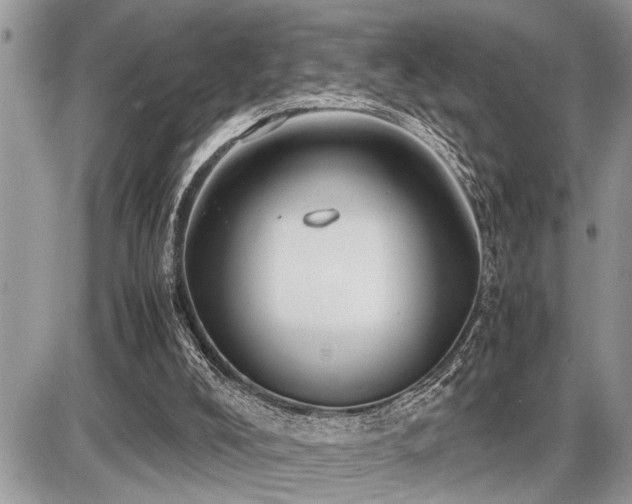 X0000086760008200704131128