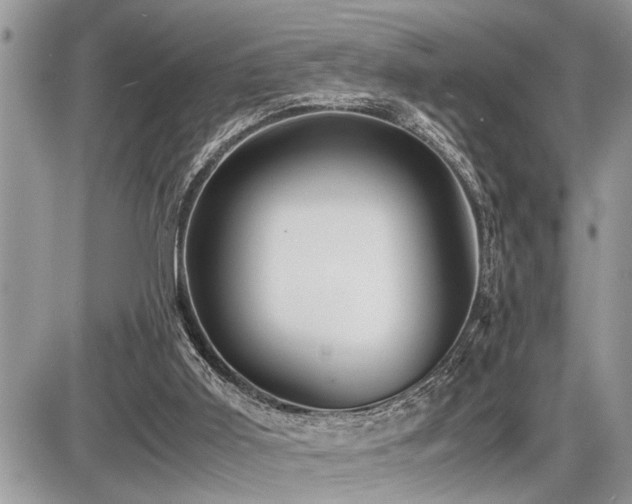 X0000086760011200704131127
