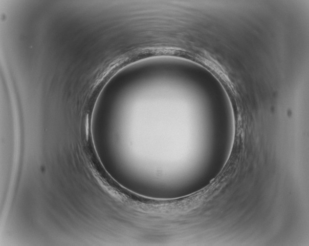 X0000086760013200704131127