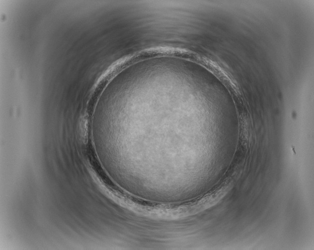 X0000086760016200704131127