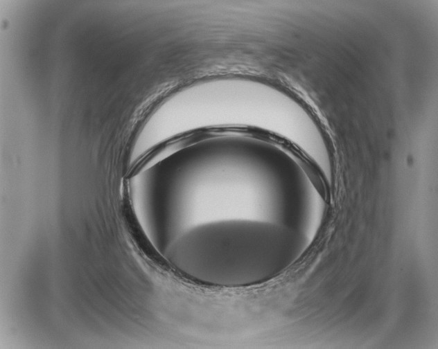 X0000086760019200704131127