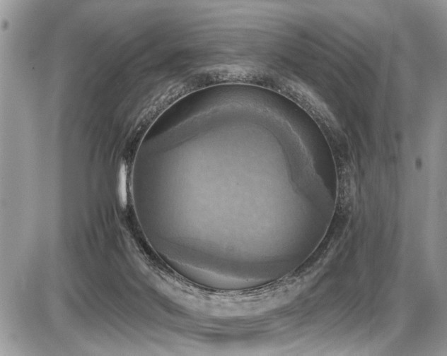 X0000086760022200704131127