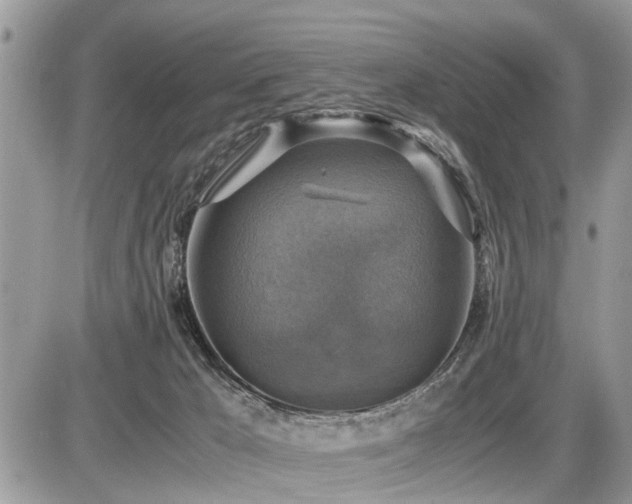 X0000086760029200704131127
