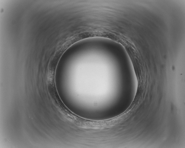 X0000086760033200704131127