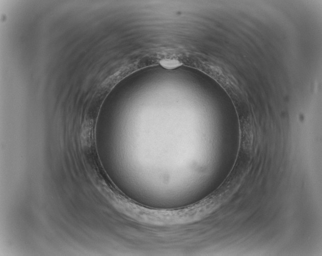 X0000086760034200704131127