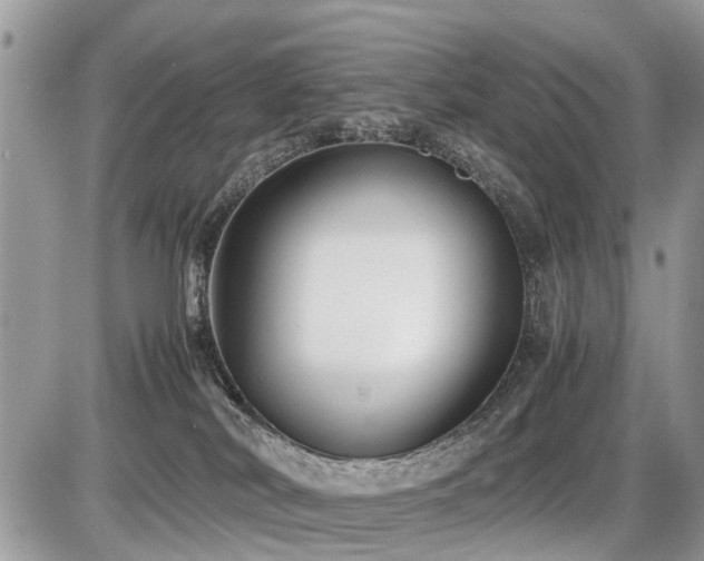 X0000086760038200704131127