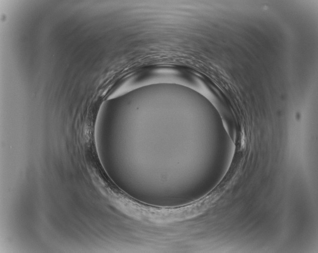 X0000086760039200704131127