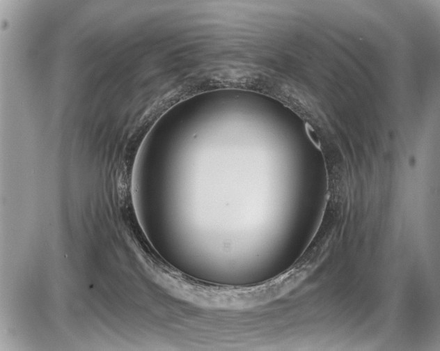 X0000086760040200704131127