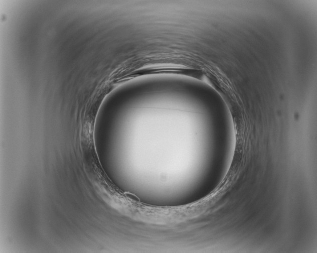 X0000086760045200704131127
