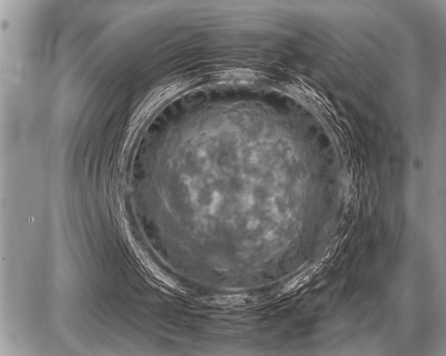 X0000086760049200704131126