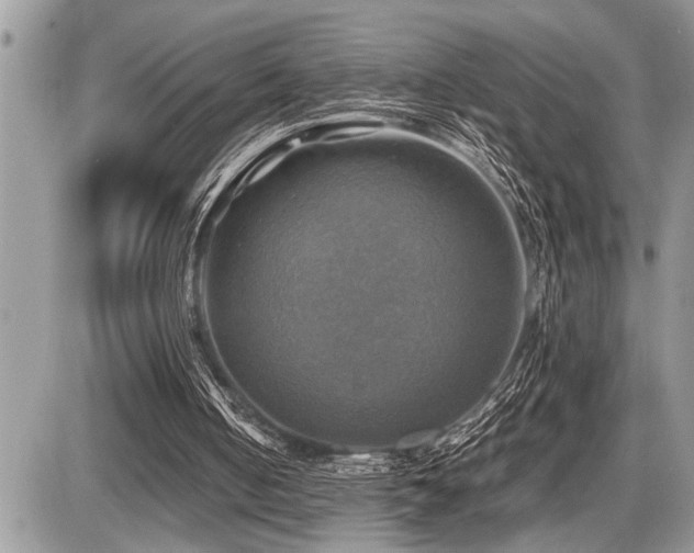 X0000086760050200704131126