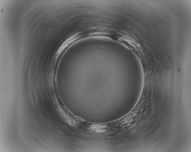 X0000086760051200704131126