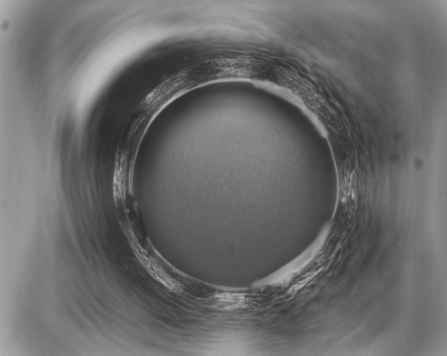 X0000086760052200704131126