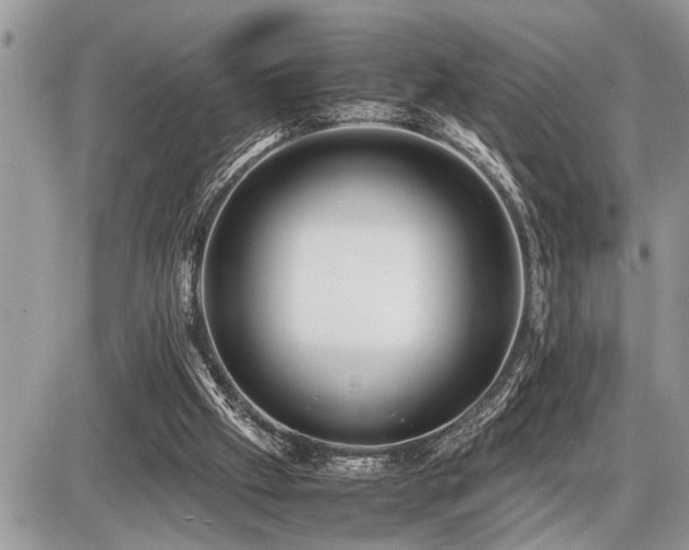 X0000086760057200704131126
