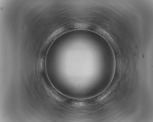 X0000086760071200704131126