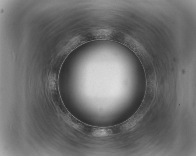 X0000086760083200704131127