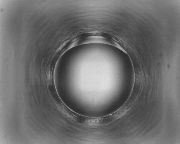 X0000086760084200704131127