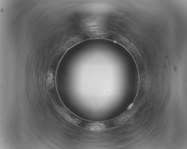 X0000086760087200704131127