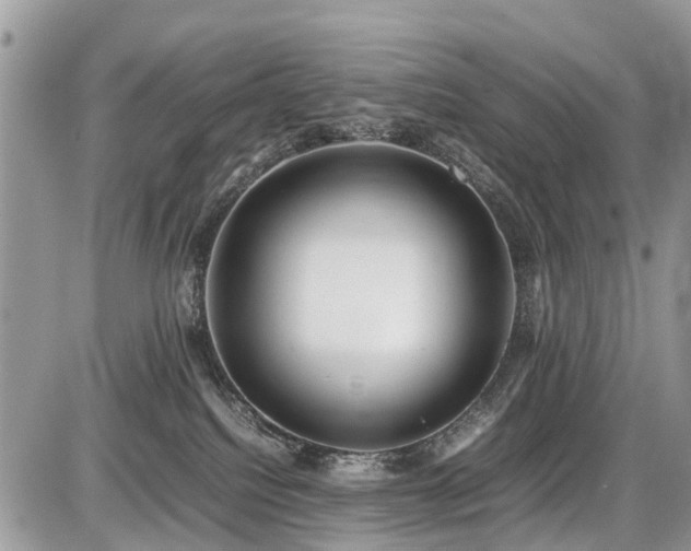 X0000086760088200704131127