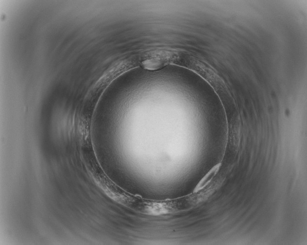X0000086760091200704131127