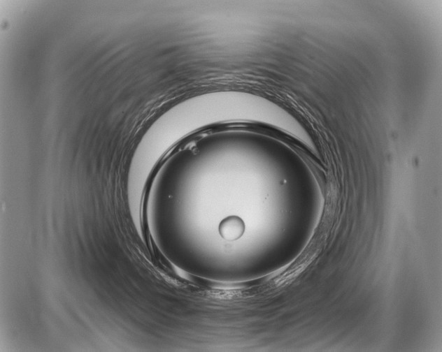 X0000086760096200704131127