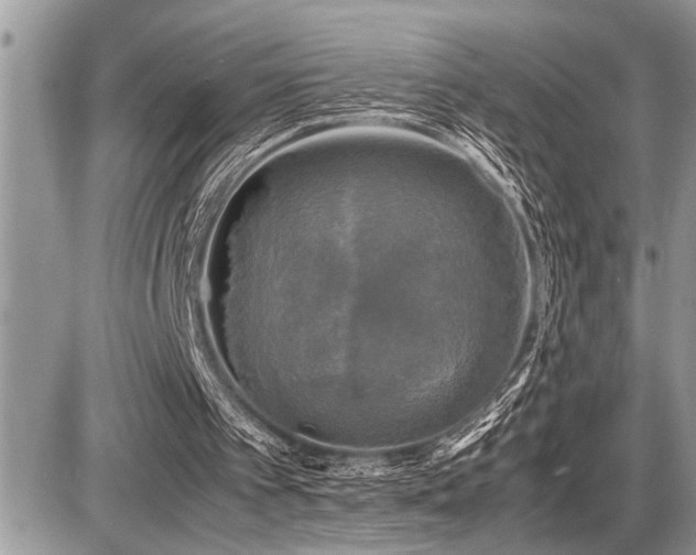 X0000086760097200704131126