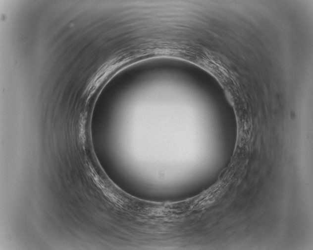 X0000086760098200704131126