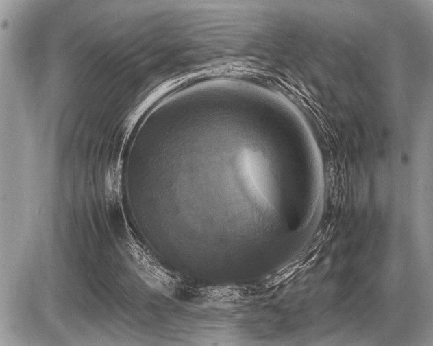 X0000086760100200704131126
