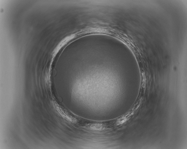 X0000086760104200704131126