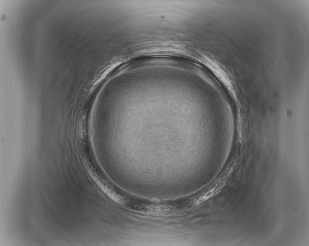 X0000086760105200704131126