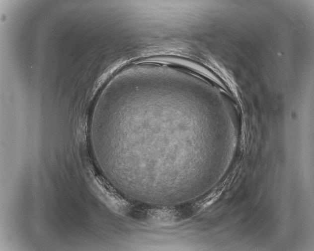 X0000086760107200704131126