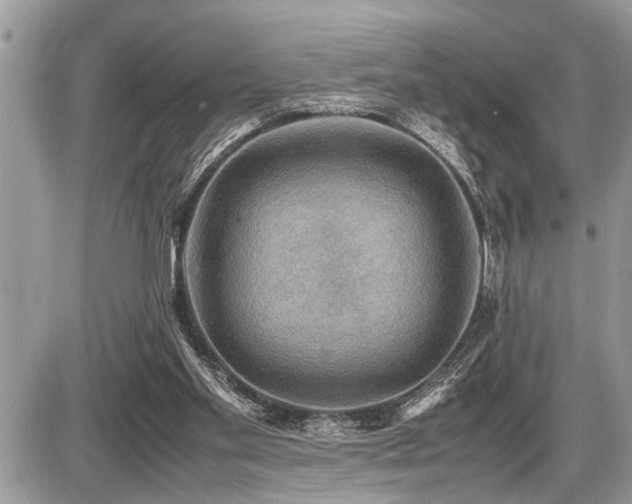 X0000086760109200704131126