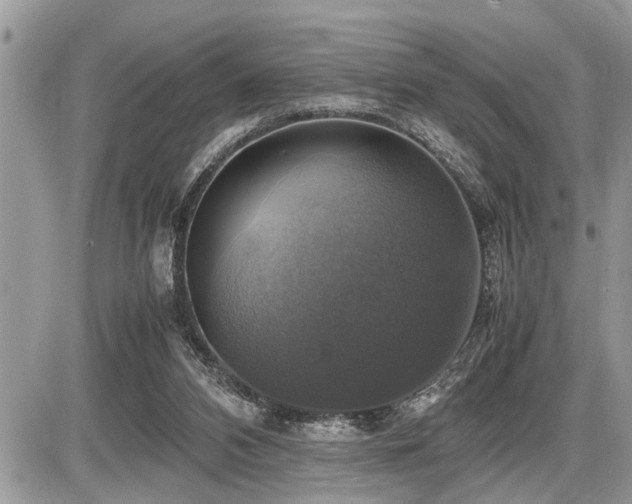 X0000086760112200704131126