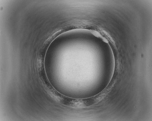X0000086760113200704131126
