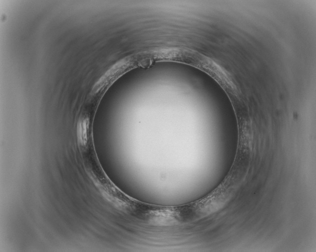 X0000086760118200704131126