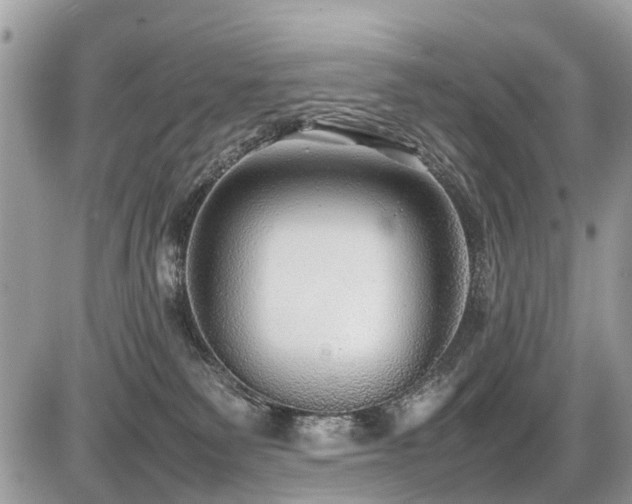 X0000086760135200704131125