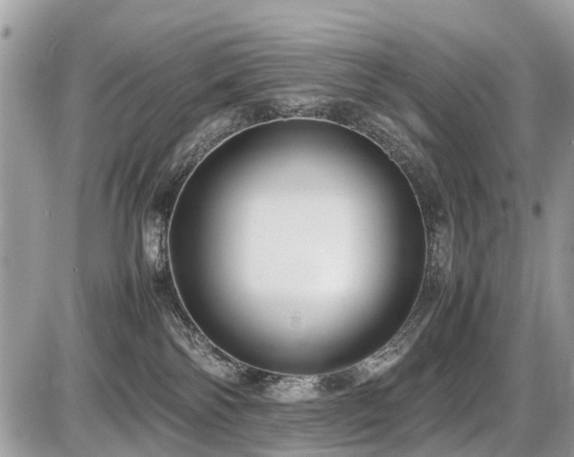 X0000086760138200704131125