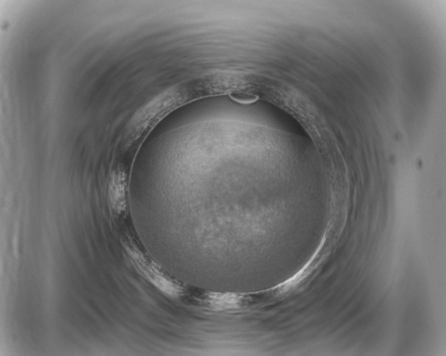 X0000086760144200704131125