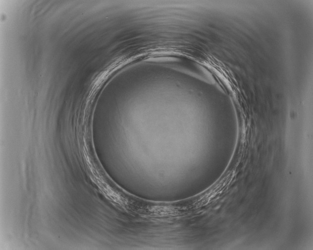 X0000086760145200704131124