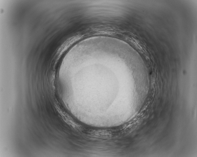 X0000086760146200704131124