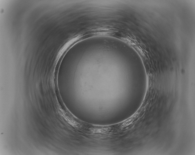 X0000086760147200704131124