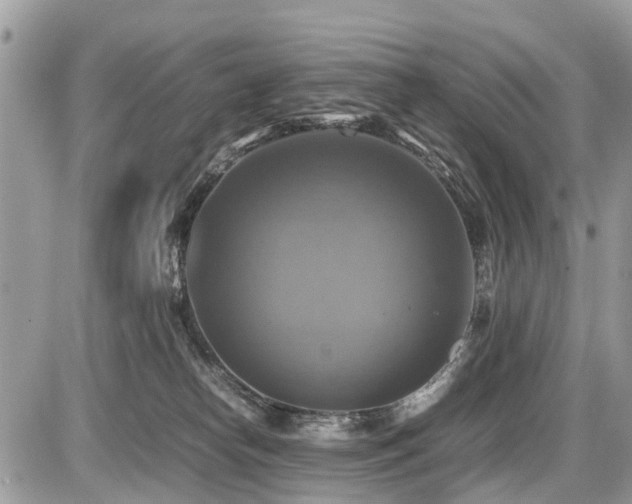 X0000086760182200704131125