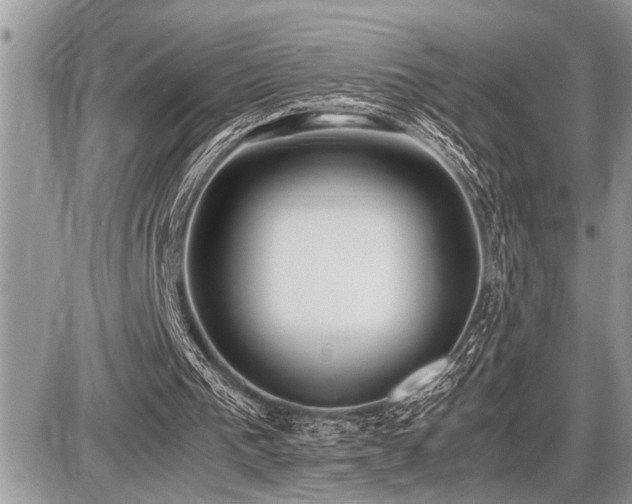 X0000086760193200704131124