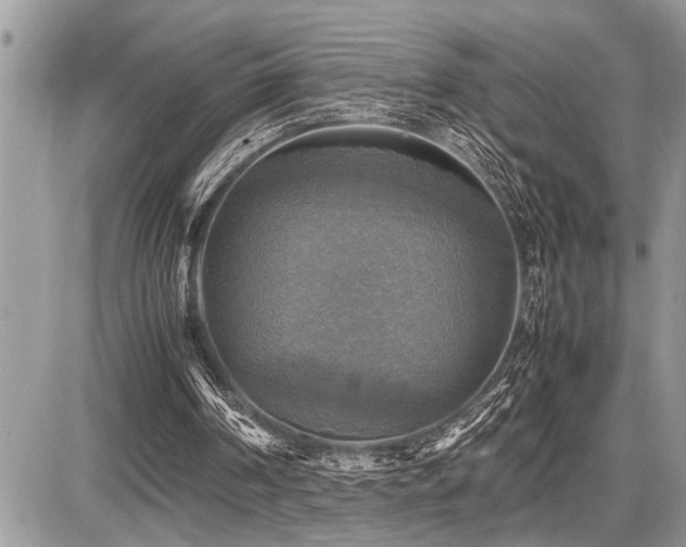 X0000086760194200704131124