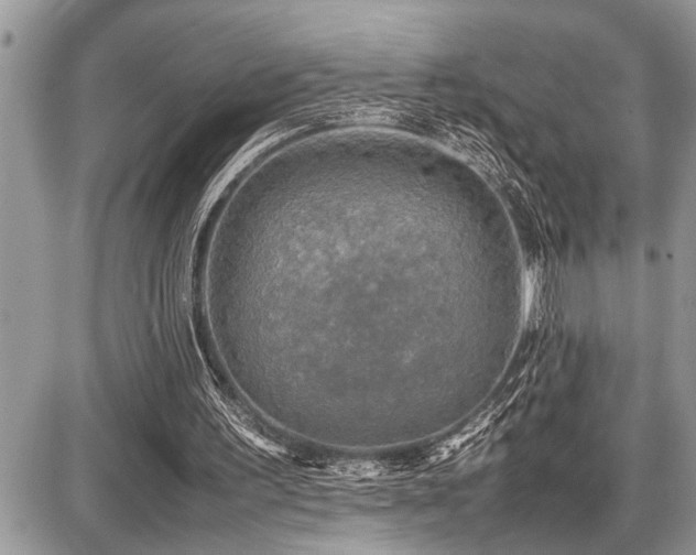 X0000086760195200704131124