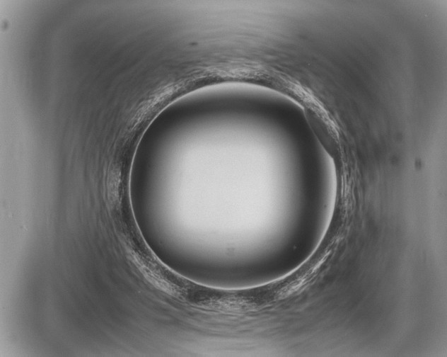 X0000086760201200704131124