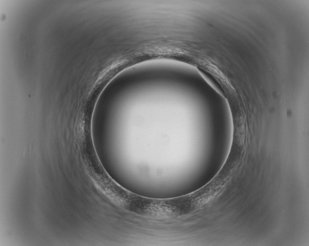 X0000086760207200704131124