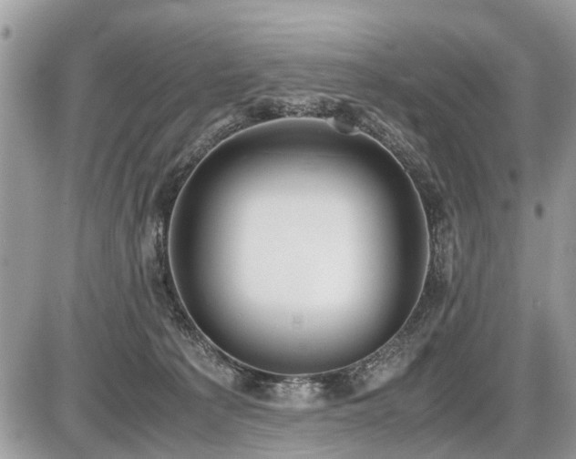 X0000086760225200704131124