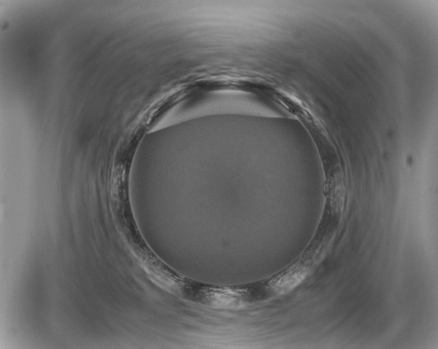 X0000086760229200704131124